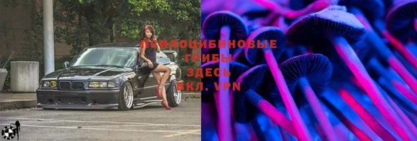спайс Алзамай