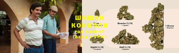 спайс Алзамай