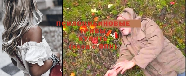 мяу мяу мука Алексин
