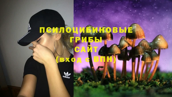 мяу мяу мука Алексин