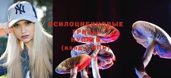 спайс Алзамай