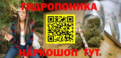 PSILOCYBIN Гусиноозёрск