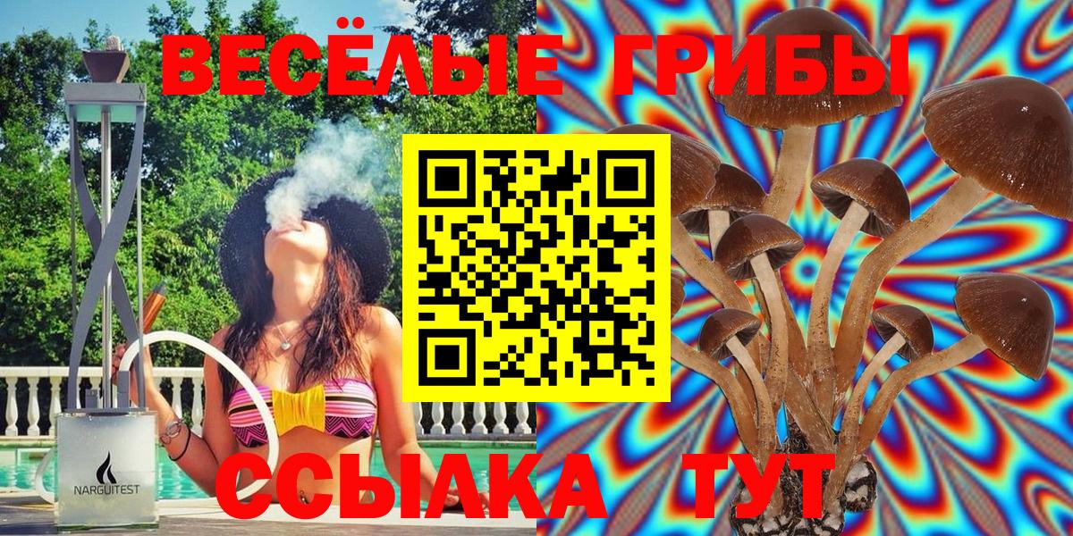 Codein Йошкар-Ола