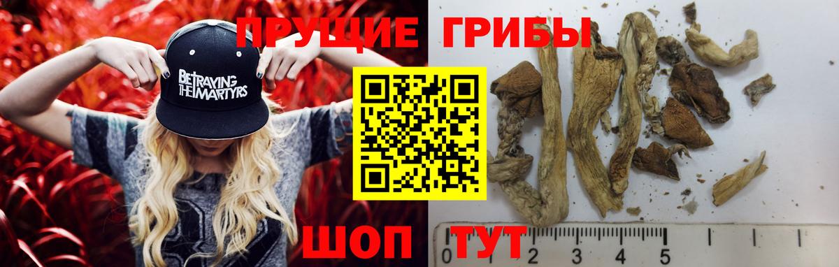 Псилоцибиновые грибы ЛСД Йошкар-Ола
