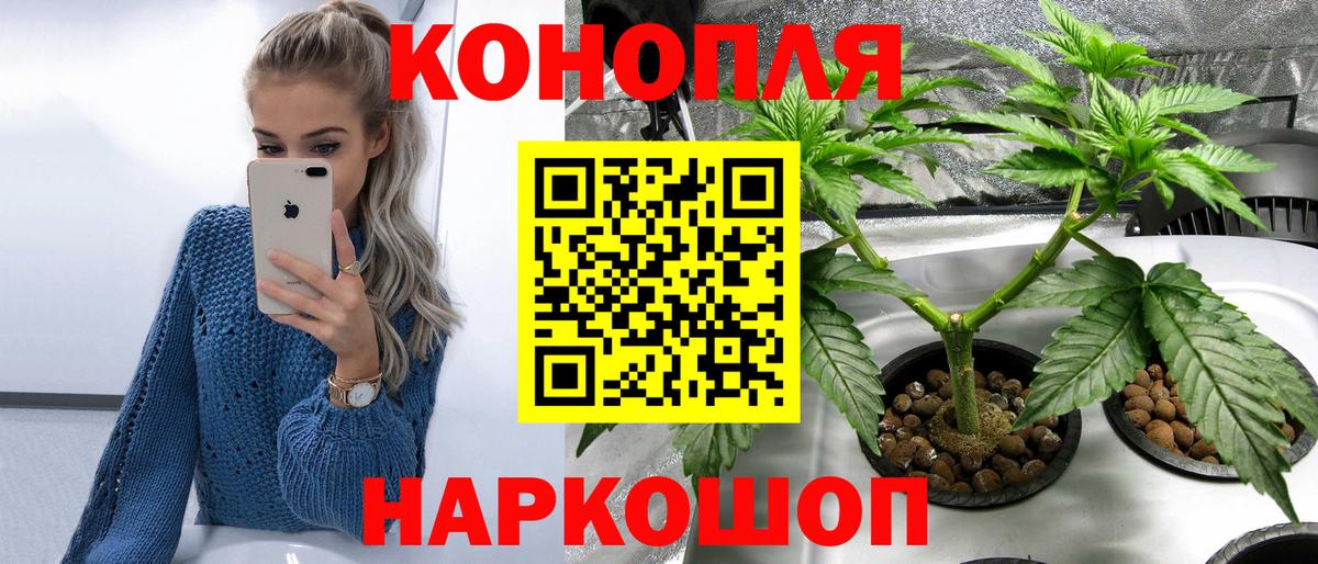 Марихуана сатива  МАРИХУАНА семена  Канабис индика  Йошкар-Ола  Вход с VPN  МАРИХУАНА гибрид 